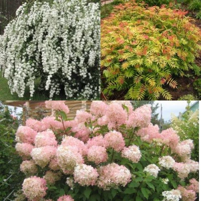 Комплект ФЕЙЕРВЕРК ЛЕТА в Владивостоке