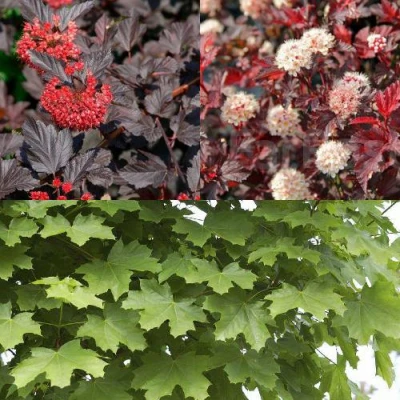 Комплект ОСЕННИЙ КОСТЕР в Владивостоке