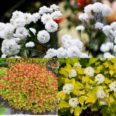 Комплект СОЛНЕЧНЫЙ МИКС в Владивостоке