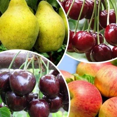 Комплект НАСЛАЖДЕНИЕ в Владивостоке