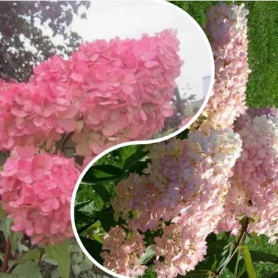 Комплект МНОГОГРАННОСТЬ в Владивостоке