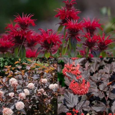 Комплект ОГНЕННЫЙ МИКС в Владивостоке