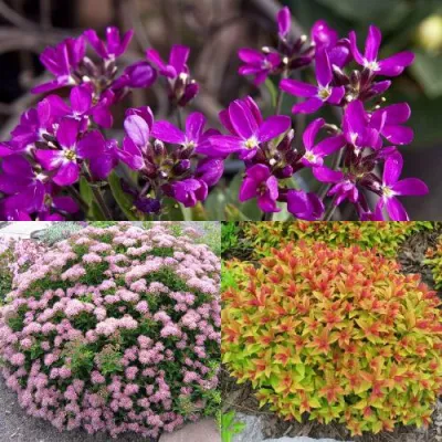 Комплект ЯПОНСКИЙ САД в Владивостоке