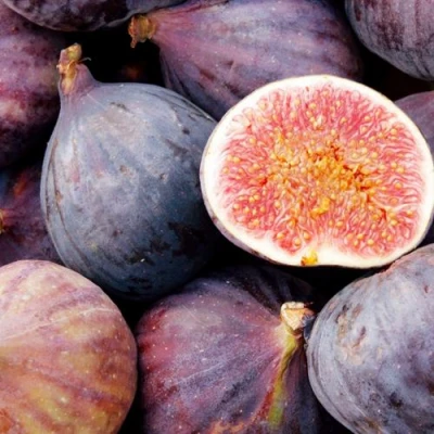 Инжир МУАССОН в Владивостоке