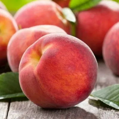 Персик МАЙСКИЙ ЦВЕТОК в Владивостоке