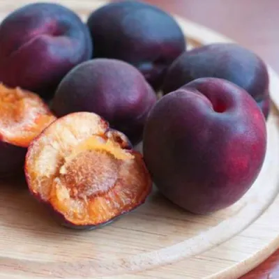 Абрикос ЧЕРНЫЙ БАРХАТ в Владивостоке