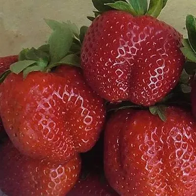 Клубника ДЕСТЕНИ  Клубника ДЕСТЕНИ в Владивостоке