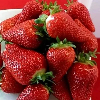 Клубника БРИЛЛА  Клубника БРИЛЛА в Владивостоке