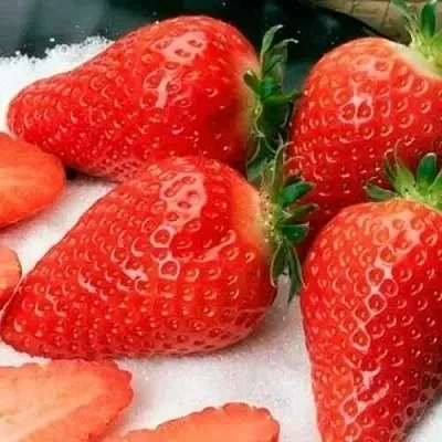 Клубника АЛЬБА  Клубника АЛЬБА в Владивостоке